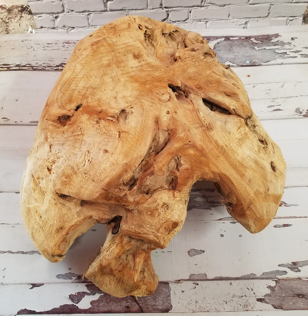 Rustic Carved Wood 18 Inch Decorative Bowl for Fruit or Display